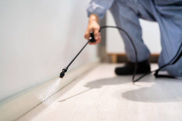 Licensed Termite Control service in Oregon City, OR - Nex Pest Control