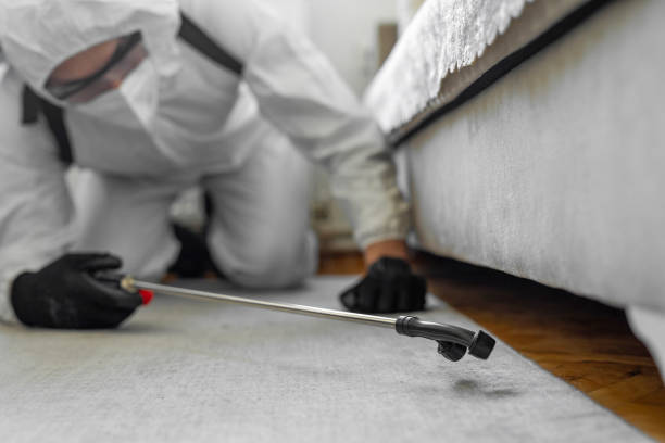 Professional Termite Control technician working in Oregon City, OR