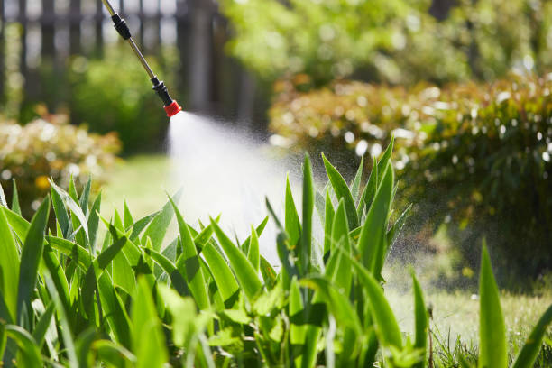 24/7 Emergency Termite Control experts in Oregon City, OR