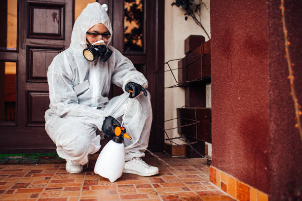 Reliable Termite Control contractor in Oregon City, OR by Nex Pest Control
