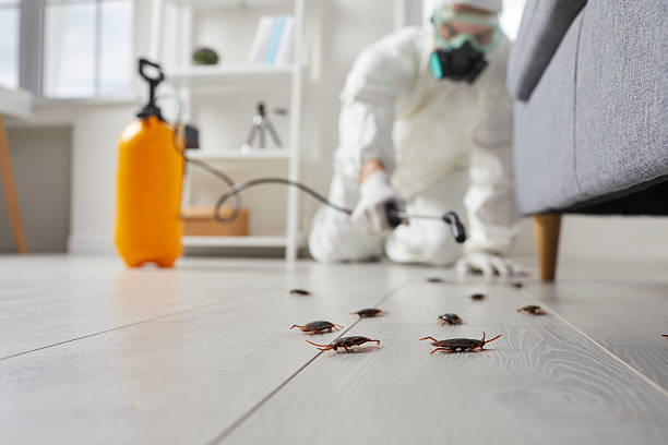 Trusted Bed Bug Control service in Oregon City, OR - Nex Pest Control