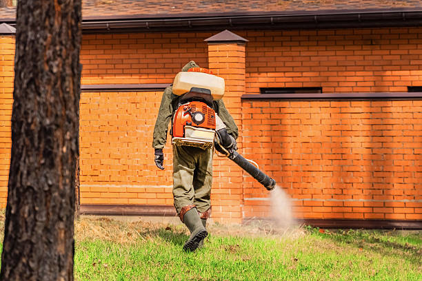 Trusted Termite Control service in Oregon City, OR - Nex Pest Control